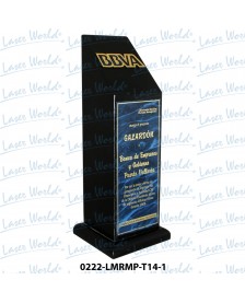 0222-LMRMP-T14-1