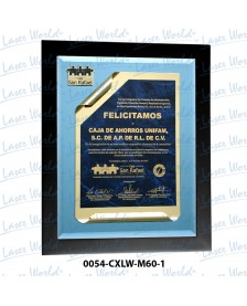 0054-CXLW-M60-1