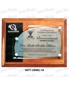 0077-LWMC-10