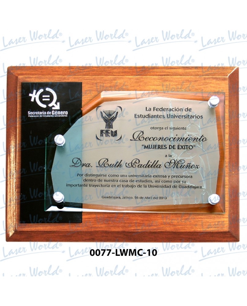 0077-LWMC-10