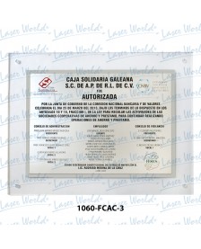 1060-FCAC-3