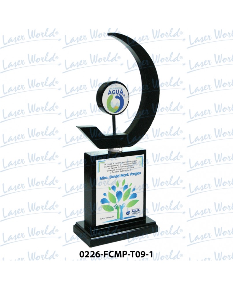 0226-FCMP-T09-1
