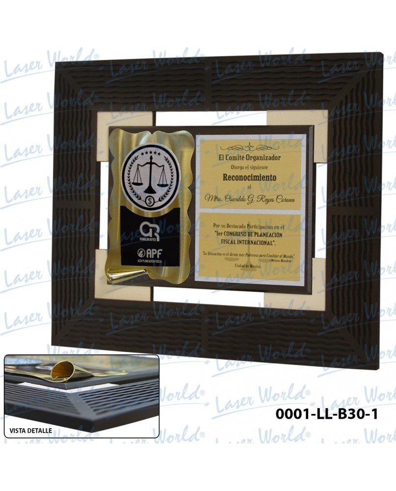 Placas Conmemorativas Grabado Laser 24x20 Cm