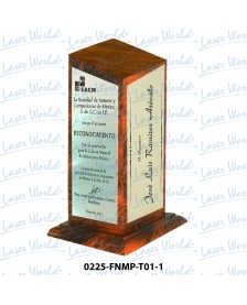 0225-FNMP-T01-1