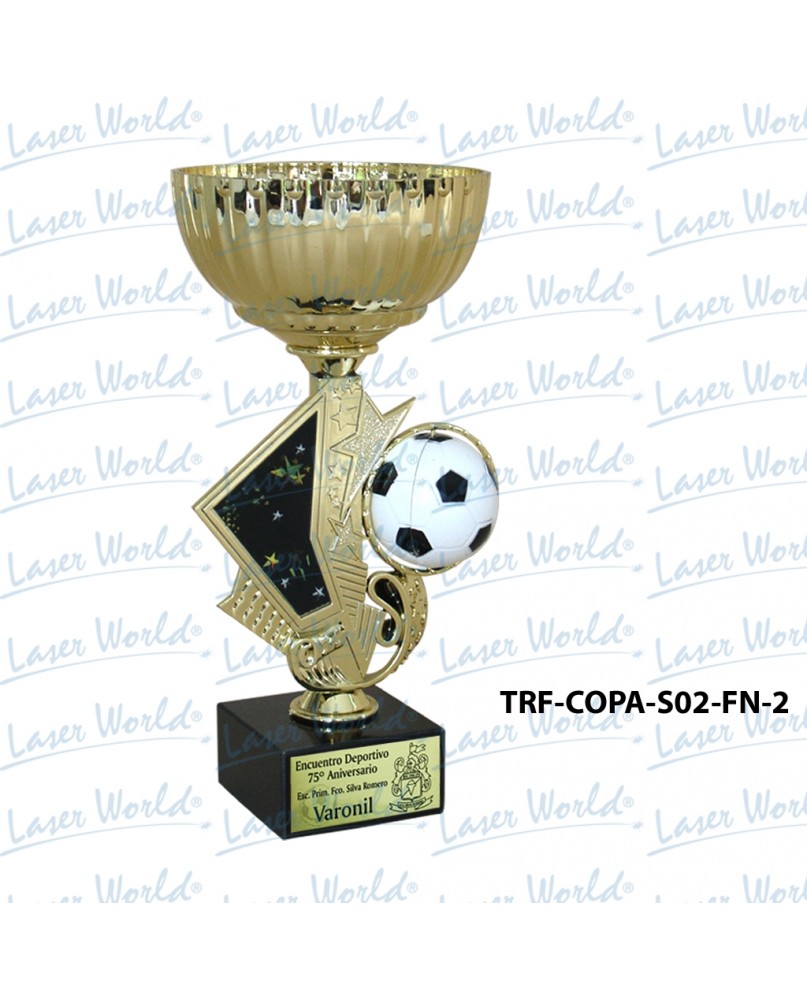 TRF-COPA-S02-FN-2