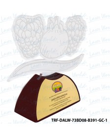 TRF-DALW-73BD08-B391-GC-1