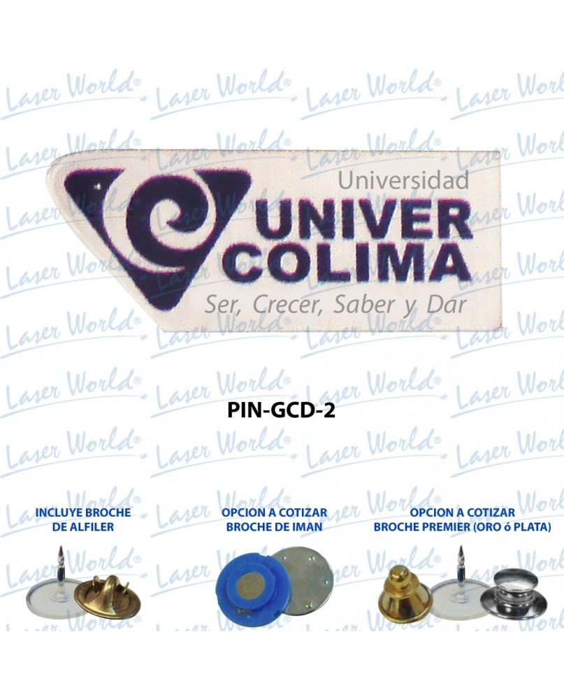 PIN-GCD-2