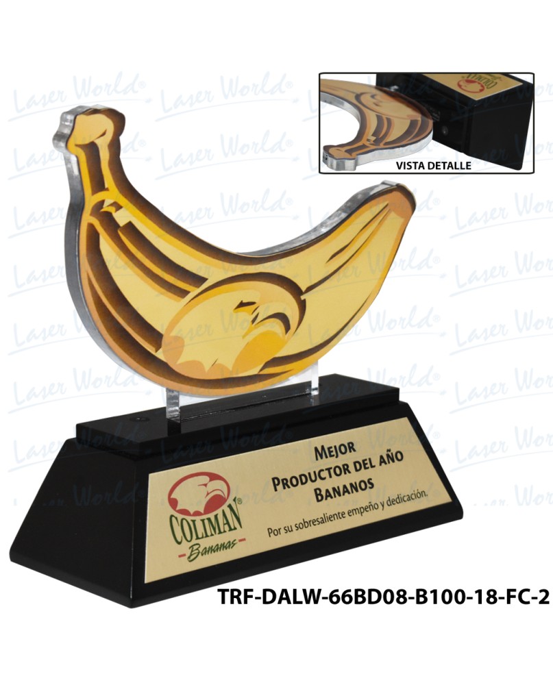 TRF-DALW-66BD08-B100-18-FC-2