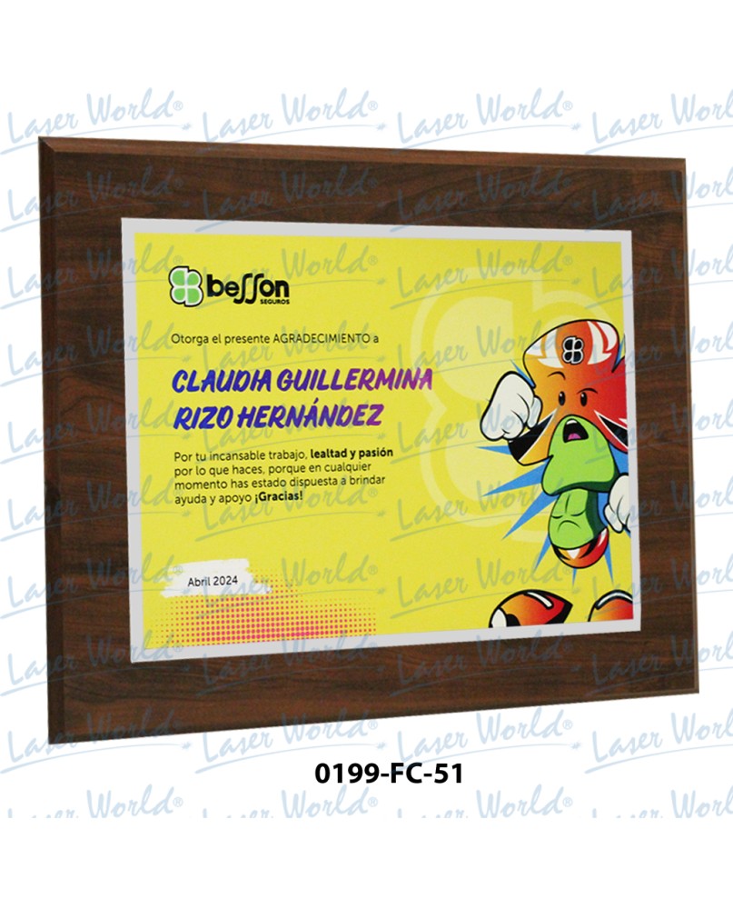 0199-FC-51