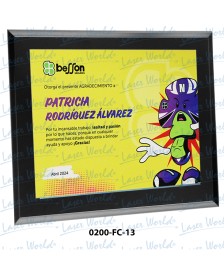 0200-FC-13