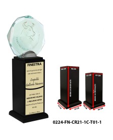 0224-FN-CR21-1C-T01-1