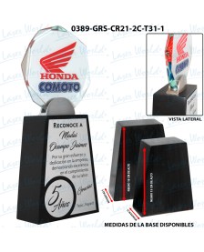 0389-GRS-CR21-2C-T31-1