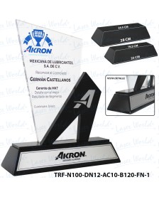 TRF-N100-DN12-AC10-B120-FN-1