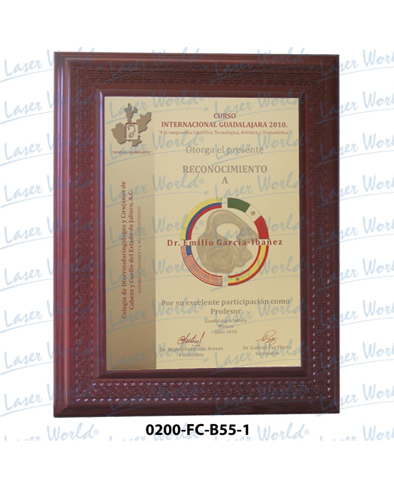 0200-FC-B55-1