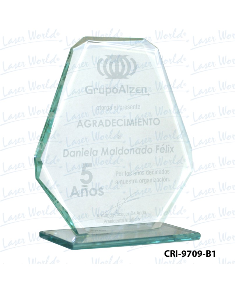 CRI-9709-B1 CRI-9709-B1