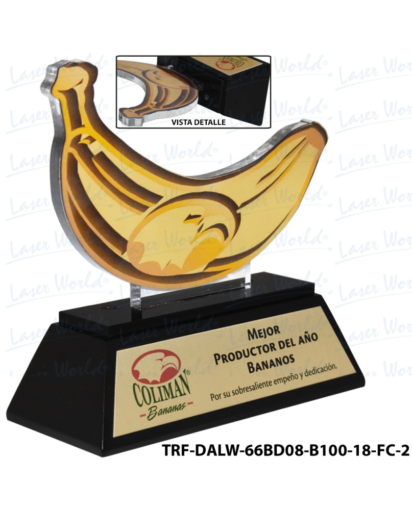 TRF-DALW-66BD08-B100-18-FC-2