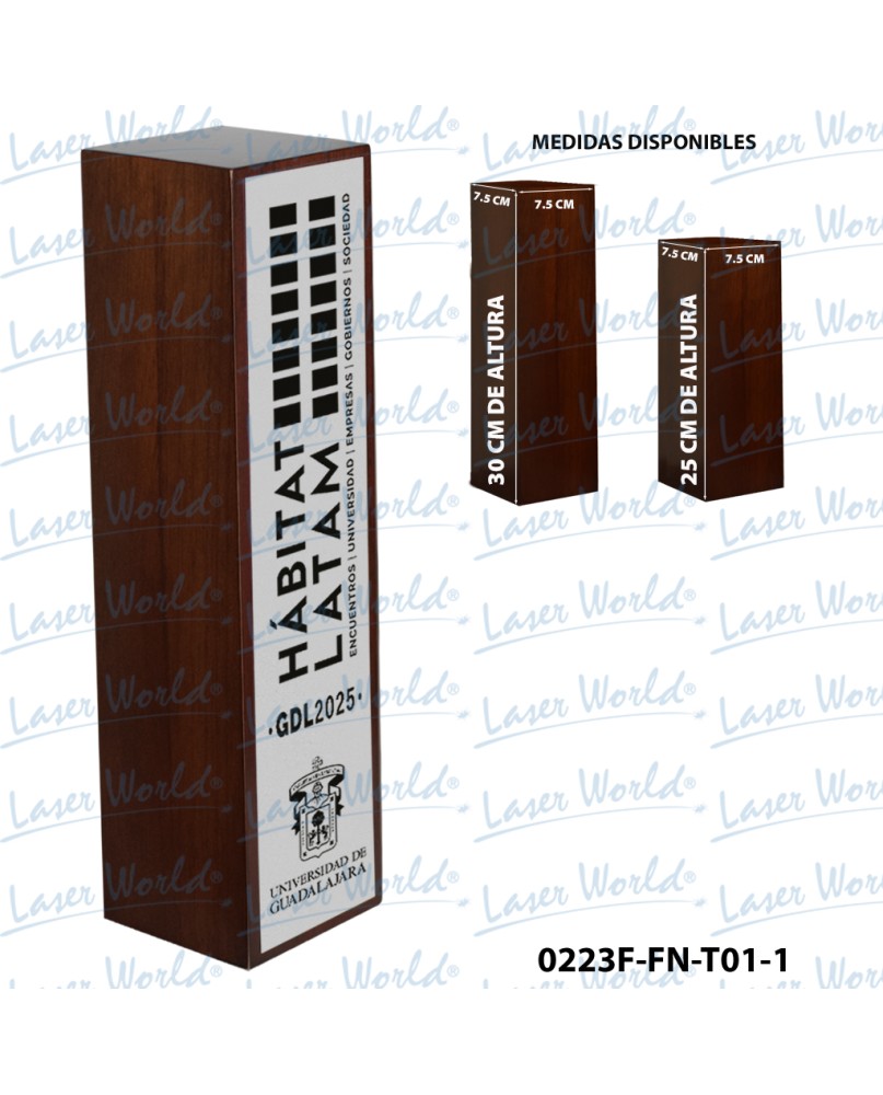 0223F-FN-T01-1 0223F-FN-T01-1