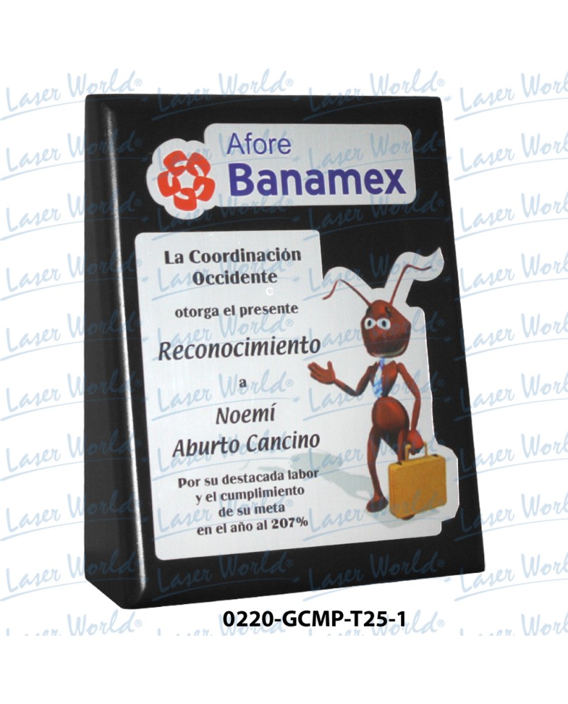 0220-GCMP-T25-1 0220-GCMP-T25-1