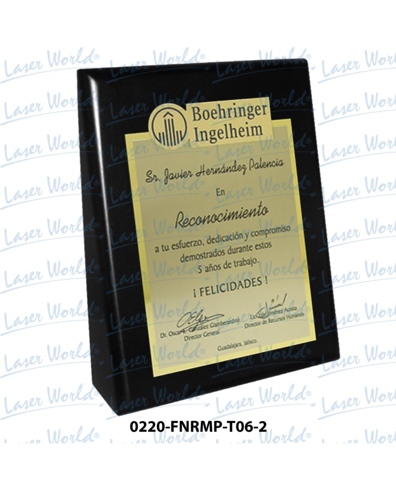 0220-FNRMP-T06-2 0220-FNRMP-T06-2