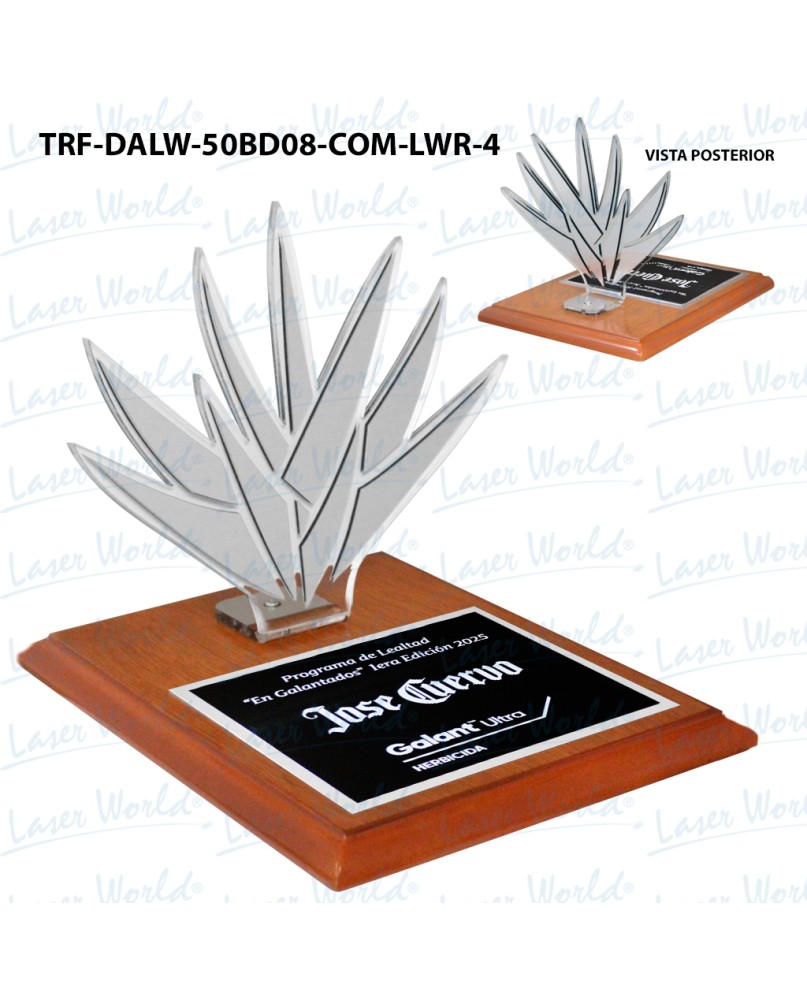 TRF-DALW-50BD08-COM-LWR-4