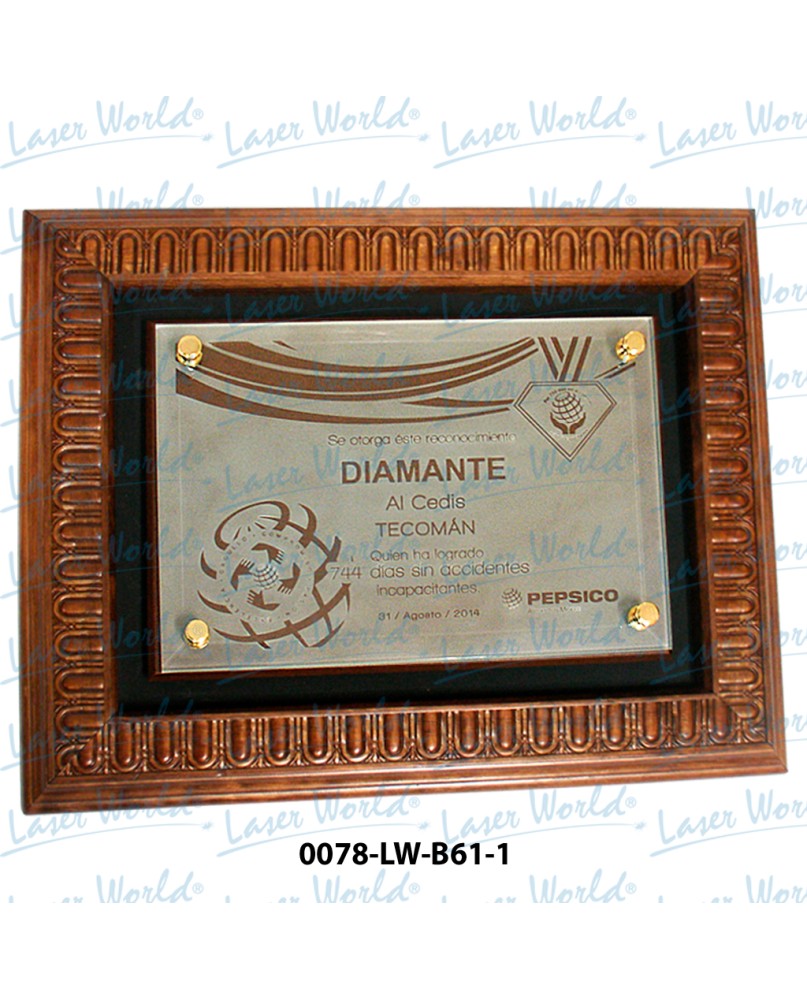 0078-LW-B61-1