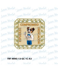 TRF-MINS-13-GC-1C-A3
