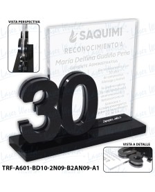 TRF-A601-BD10-2N09-B2AN09-A1