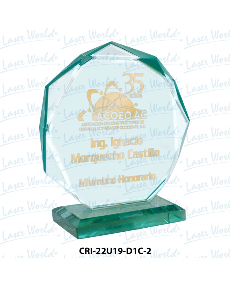 CRI-22U19-D1C-2