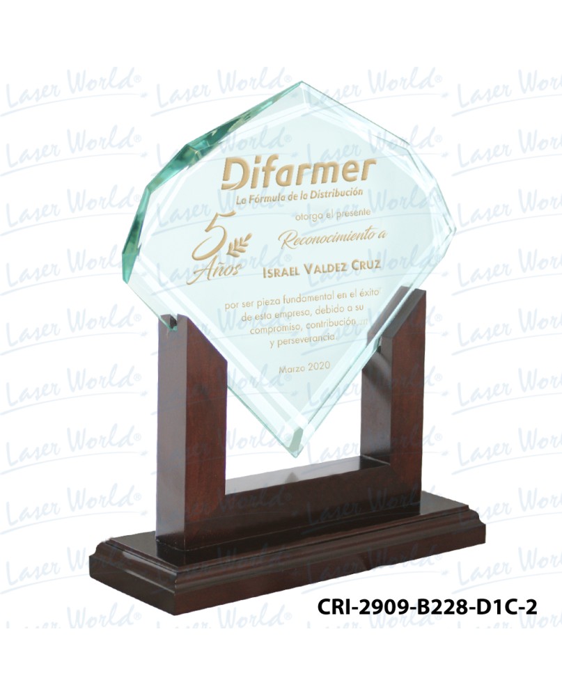 CRI-2909-B228-D1C-2