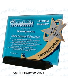 CRI-111-B025W09-D1C-1