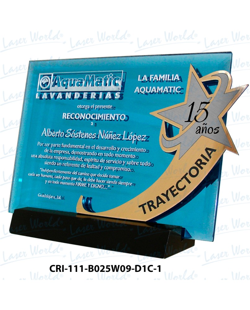 CRI-111-B025W09-D1C-1