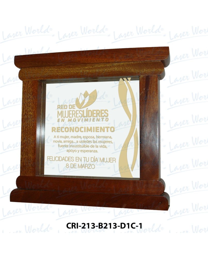 CRI-213-B213-D1C-1