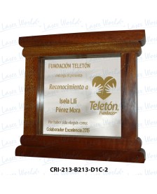 CRI-213-B213-D1C-2