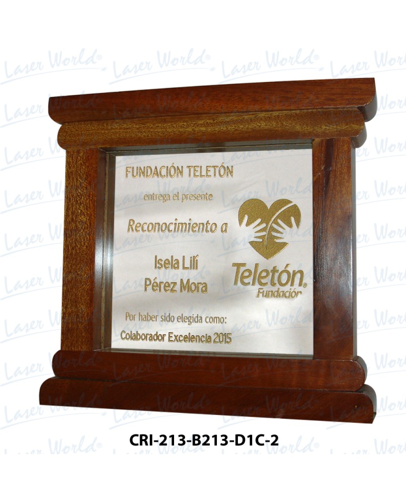 CRI-213-B213-D1C-2